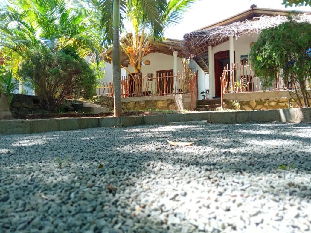 Peacock Garden Bed and Breakfast Tangalle Exteriör bild