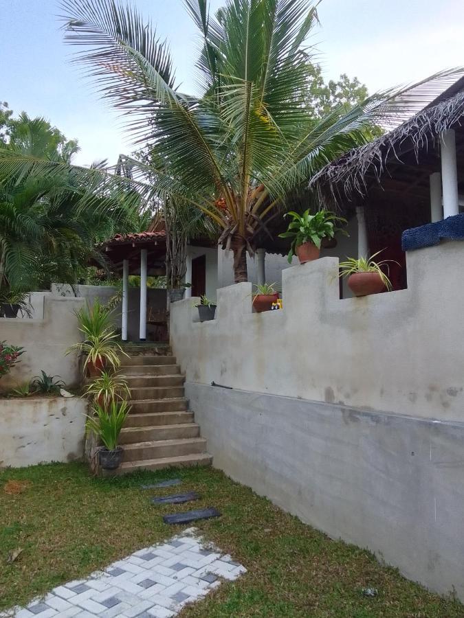 Peacock Garden Bed and Breakfast Tangalle Exteriör bild