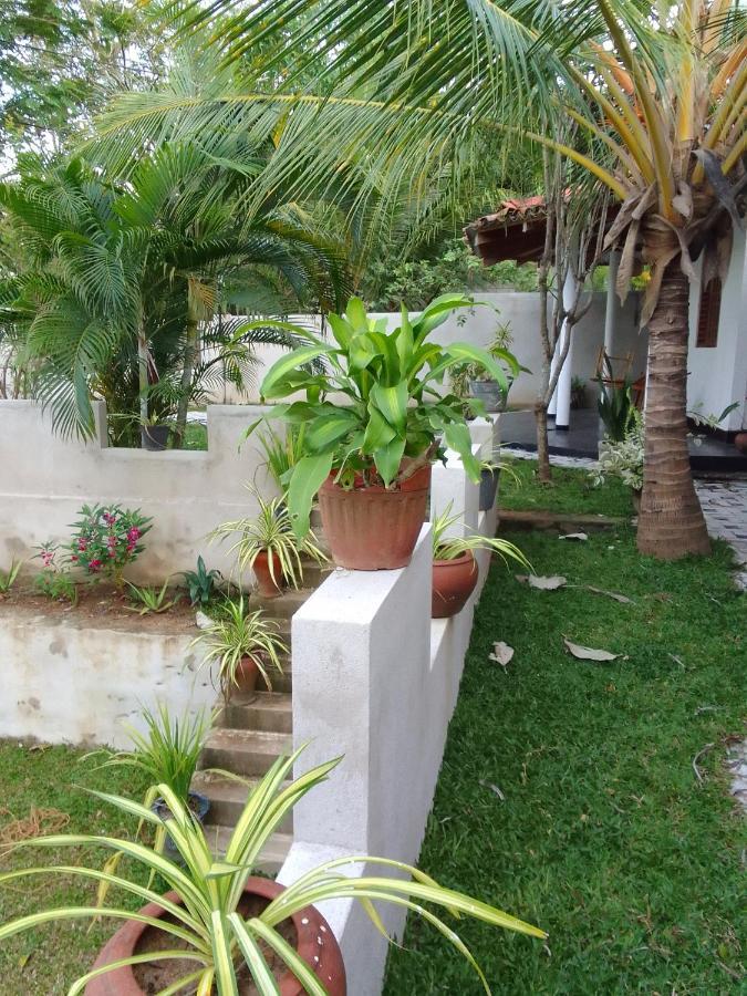 Peacock Garden Bed and Breakfast Tangalle Exteriör bild