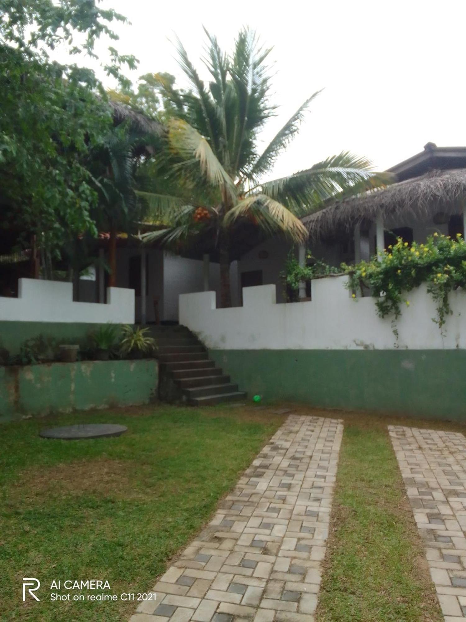 Peacock Garden Bed and Breakfast Tangalle Exteriör bild