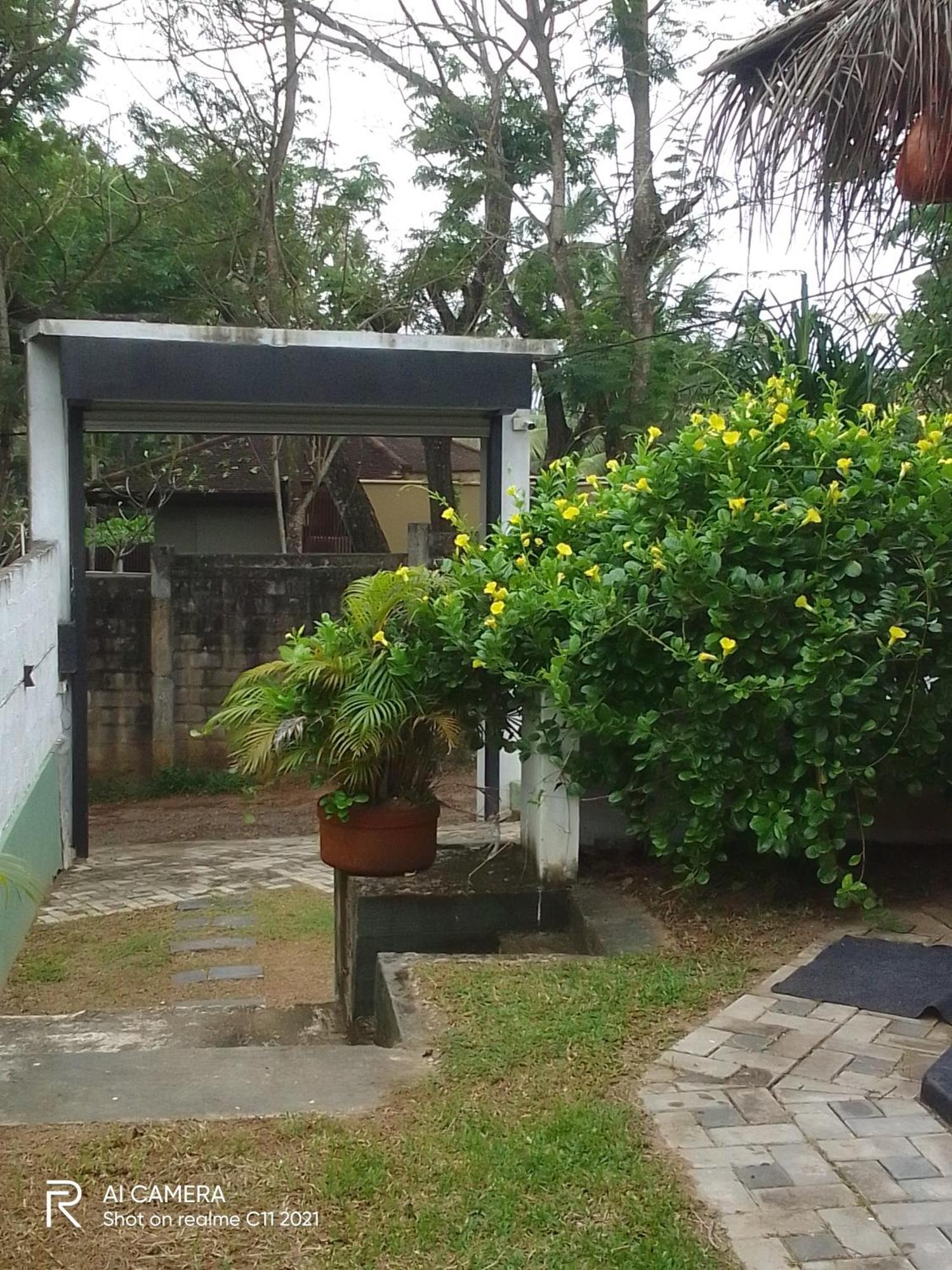 Peacock Garden Bed and Breakfast Tangalle Rum bild