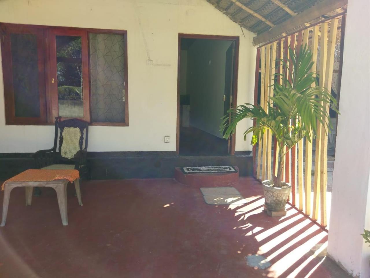 Peacock Garden Bed and Breakfast Tangalle Exteriör bild